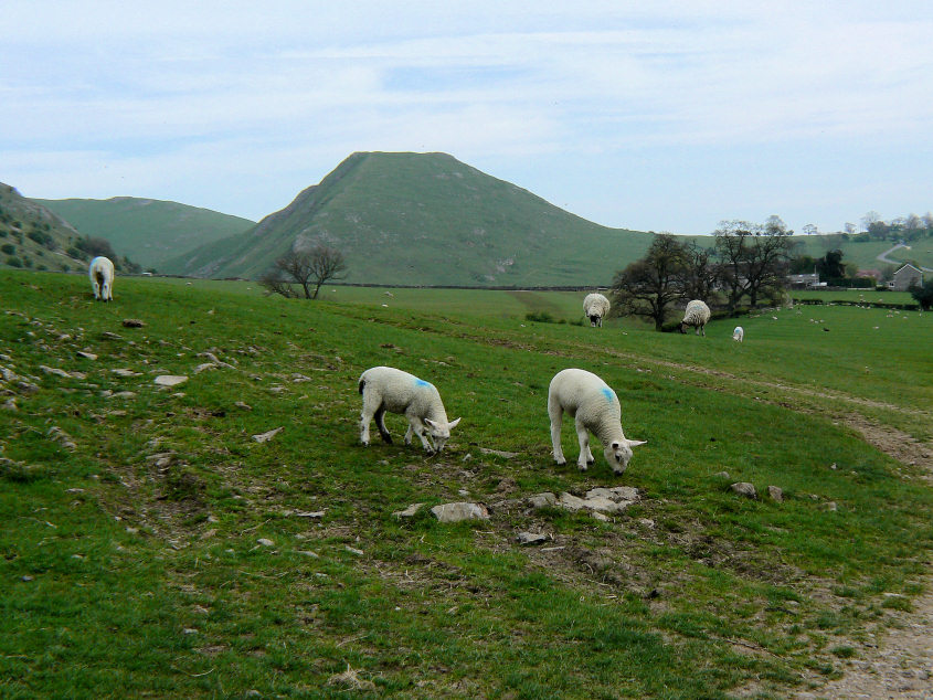 Thorpe Cloud Thorpe Cloud